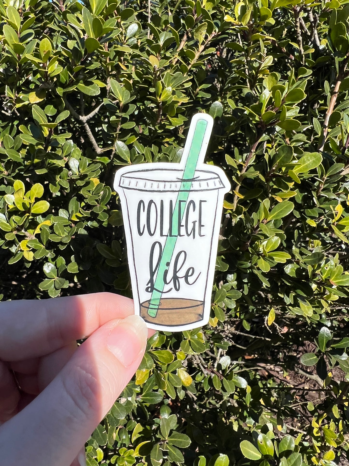 College Life Empty Coffee Cup Vinyl Sticker