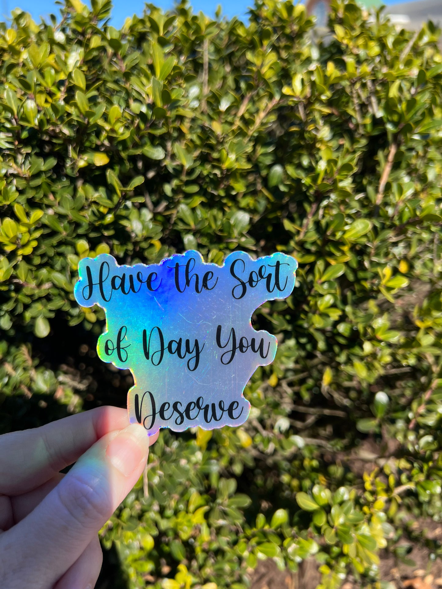 Have the Sort of Day You Deserve Vinyl Sticker